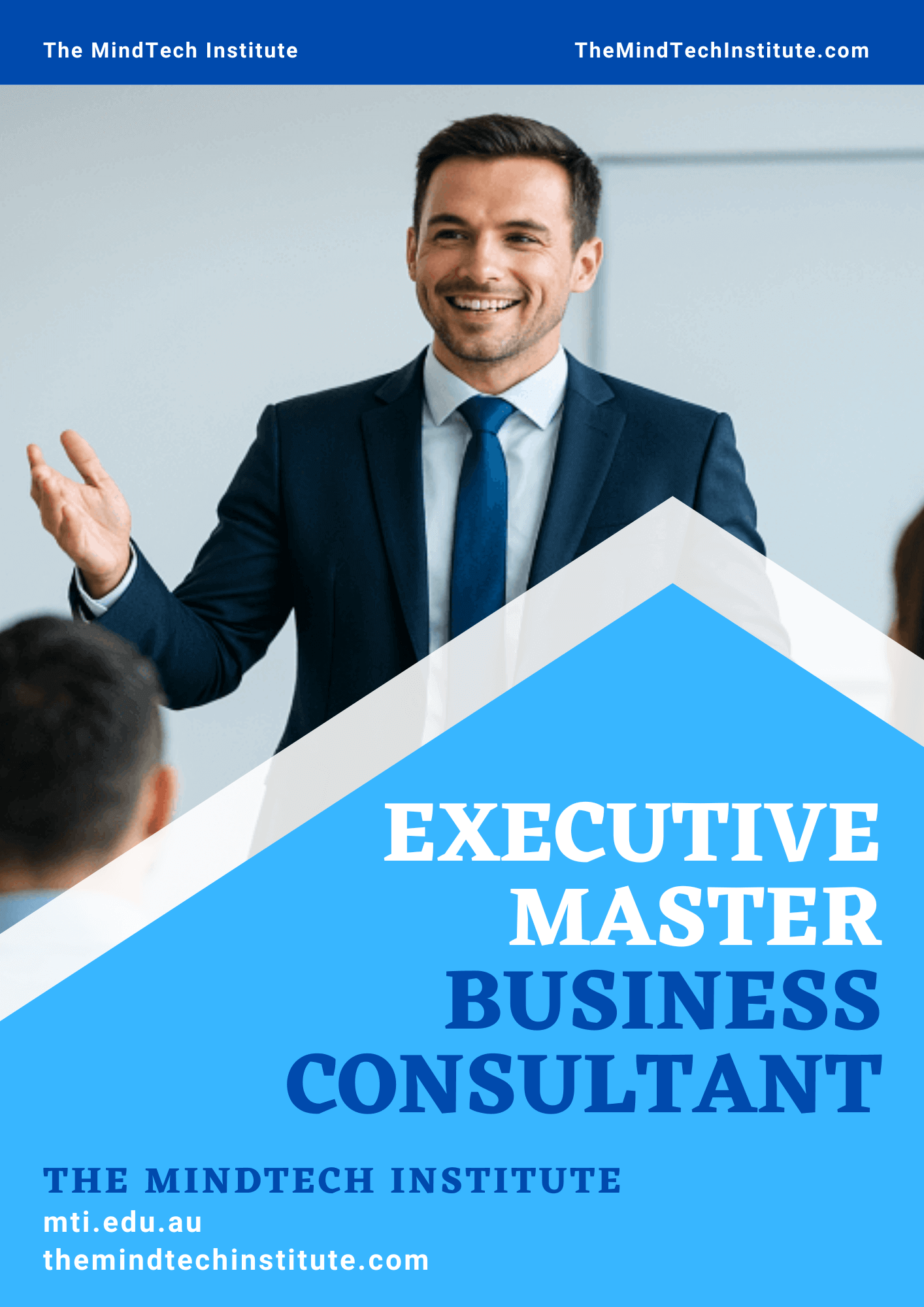 Executive Master Business Consultant Training Course Online - The MindTech Institute